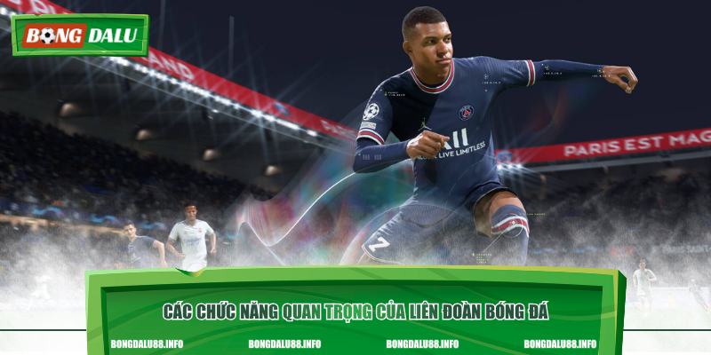 Các chức năng quan trọng của liên đoàn bóng đá