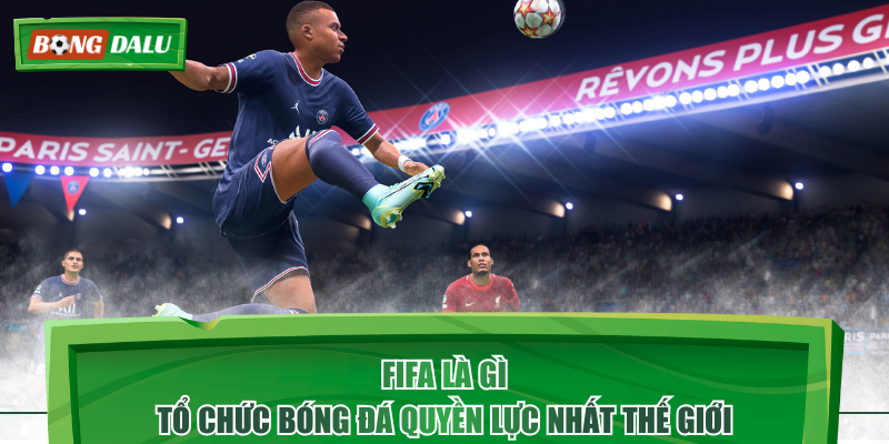 FIFA Là Gì - Tổ Chức Bóng Đá Quyền Lực Nhất Thế Giới